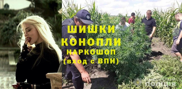 дживик Алексеевка