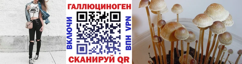 даркнет сайт  Покров  Псилоцибиновые грибы мухоморы 